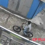 Cycle Thief Arrested