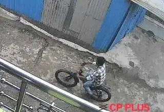 Cycle Thief Arrested