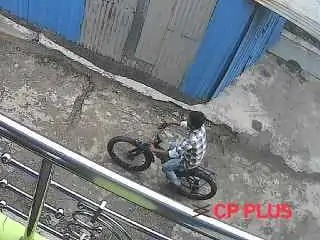 Cycle Thief Arrested