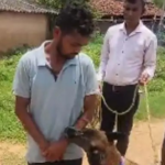 Raigarh Murder