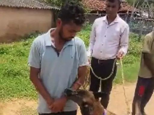 Raigarh Murder
