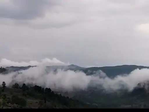 Surguja Heavy Rain Alert