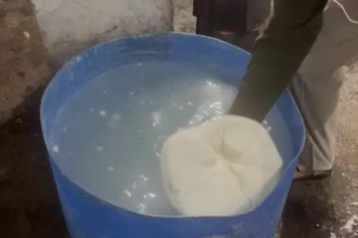 Fake Paneer