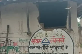 Elephant Terror in Raigarh  :  रायगढ़ में 164 हाथियों का डेरा, घरों की दीवारें गिराईं और धान की फसल रौंदी