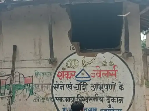Elephant Terror in Raigarh  :  रायगढ़ में 164 हाथियों का डेरा, घरों की दीवारें गिराईं और धान की फसल रौंदी