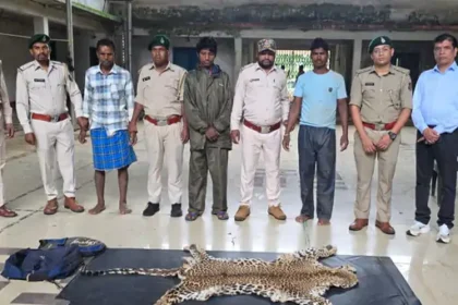 Leopard Skin Smuggling : दंतेवाड़ा-नारायणपुर सीमा पर तेंदुए की खाल के साथ 3 गिरफ्तार