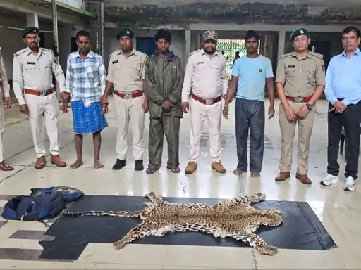Leopard Skin Smuggling : दंतेवाड़ा-नारायणपुर सीमा पर तेंदुए की खाल के साथ 3 गिरफ्तार