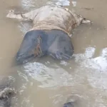 Bemetara Shivnath River Body : शिवनाथ नदी में मिला युवक का शव