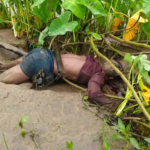 Korba River Accident  :  खारुन नदी में बहा ग्रामीण, दूसरे दिन झाड़ियों में मिला शव