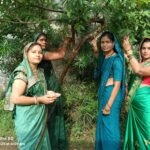 Prakriti Rakhi Festival : किसान स्कूल में मनेगा प्रकृति राखी त्योहार, पेड़-पौधों को राखी बांधेंगी महिलाएं