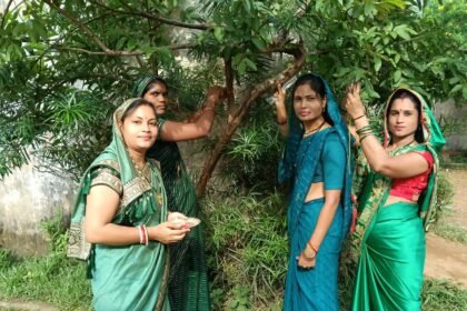 Prakriti Rakhi Festival : किसान स्कूल में मनेगा प्रकृति राखी त्योहार, पेड़-पौधों को राखी बांधेंगी महिलाएं