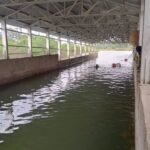 Rajnandgaon Underbridge : पानी भरे अंडरब्रिज में युवक ने लगाई छलांग, तलाश में जुटी रेस्क्यू टीम