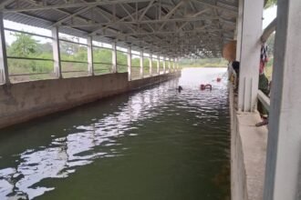 Rajnandgaon Underbridge : पानी भरे अंडरब्रिज में युवक ने लगाई छलांग, तलाश में जुटी रेस्क्यू टीम