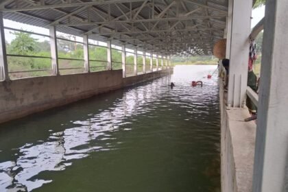 Rajnandgaon Underbridge : पानी भरे अंडरब्रिज में युवक ने लगाई छलांग, तलाश में जुटी रेस्क्यू टीम