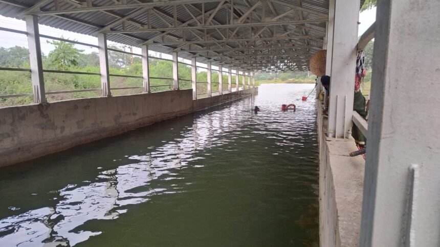 Rajnandgaon Underbridge : पानी भरे अंडरब्रिज में युवक ने लगाई छलांग, तलाश में जुटी रेस्क्यू टीम