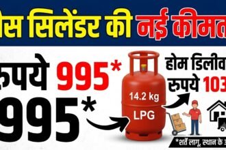 Gas Cylinder Price : गैस सिलेंडर की कीमत 995 रुपए, होम डिलीवरी के साथ 1030 रुपए