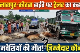 Bilaspur Korba Highway Accident : बिलासपुर-कोरबा हाईवे पर ट्रेलर का कहर, 9 मवेशियों की मौत सवाल