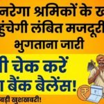 MNREGA Payment Update  : मनरेगा श्रमिकों के खातों में पहुंचेगी लंबित मजदूरी राशि, भुगतान जारी