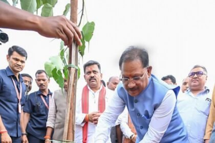 Peepal For People Campaign : 15 एकड़ में लगाएंगे 2500 से ज्यादा पीपल के पौधे, मुख्यमंत्री ने शुरू किया अभियान