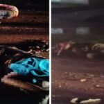 Takhatpur Road Accident