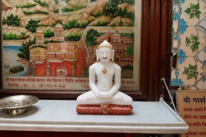 Gangrel Dam Statue Mystery : गंगरेल बांध में मिली 37 साल पुरानी नेमिनाथ प्रतिमा गायब!