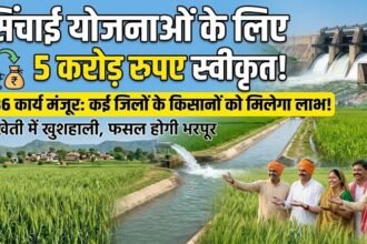 Irrigation Projects : सिंचाई योजनाओं के 36 कार्यों के लिए 5 करोड़ रुपए स्वीकृत, कई जिलों को मिलेगा लाभ