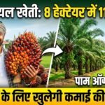 Oil Palm Farming : 8 हेक्टेयर में 1,144 पौधे, किसानों के लिए खुलेगी कमाई की नई राह