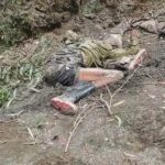 Elephant Attack  : शिवपुर के जंगल में हाथी का हमला, भैंस चराने गए ग्रामीण की मौत