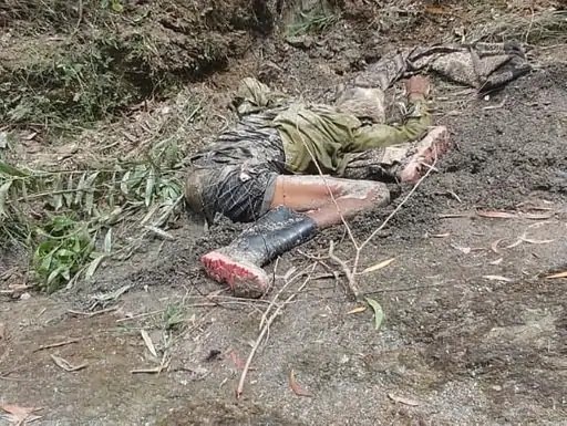 Elephant Attack  : शिवपुर के जंगल में हाथी का हमला, भैंस चराने गए ग्रामीण की मौत
