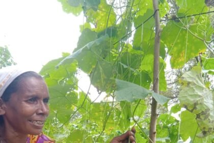Integrated Farming : बस्तर की महिला किसान ने एकीकृत खेती से बदली जिंदगी, सालाना 1.50 लाख से ज्यादा कमाई