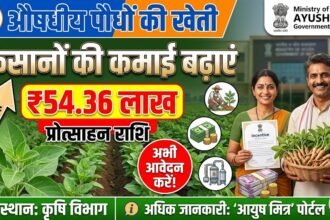 Medicinal Plants Farming : औषधीय पौधों की खेती से बढ़ेगी किसानों की कमाई, 54.36 लाख की प्रोत्साहन राशि
