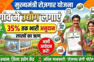 CM Rojgar Yojana : गांव में उद्योग लगाने का मौका, 35% तक मिलेगा अनुदान