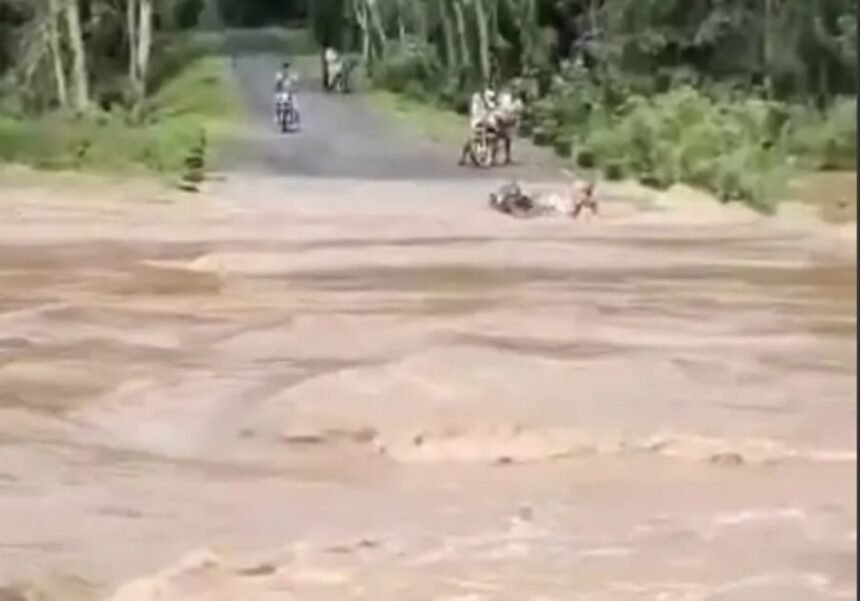 CG Rain Alert : उफनते नाले में बाइक समेत गिरा बुजुर्ग, बाल-बाल बची जान