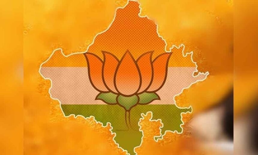 Chhattisgarh BJP : प्रदेश भाजपा में फेरबदल की आहट, कार्यकारी अध्यक्ष की रेस में कई नाम