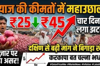 Onion Price Hike