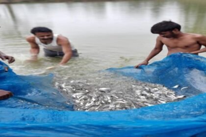 Fish Farming