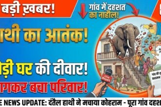 Elephant Terror
