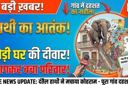 Elephant Terror