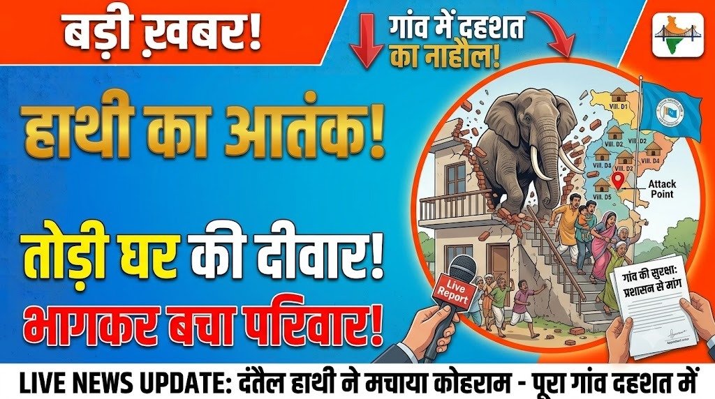 Elephant Terror