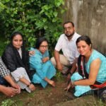 Tree Plantation