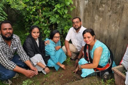 Tree Plantation