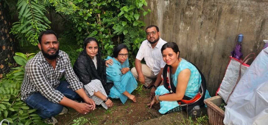 Tree Plantation