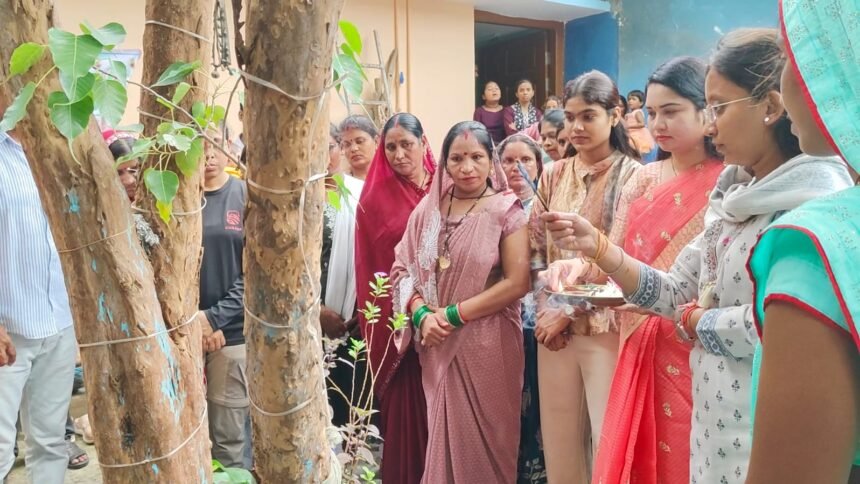 Nature Rakhi Festival : पेड़ों को राखी बांधकर किसान स्कूल ने दिया प्रकृति बचाने का संदेश
