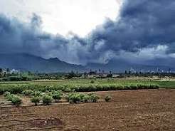 Chhattisgarh Weather  :  फिर सक्रिय हुआ मानसून, आज भी कई इलाकों में भारी बारिश के आसार