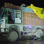 Cattle Smuggling