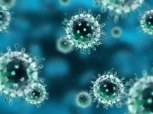 H1N1 Alert : दुर्ग में स्वाइन फ्लू की दस्तक, 2 साल की बच्ची संक्रमित