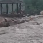 Heavy Rain Alert : कोरबा में 15 घंटे टापू पर फंसे 3 दोस्त, पुलिस ने बचाया; 2 दिन भारी बारिश का अलर्ट