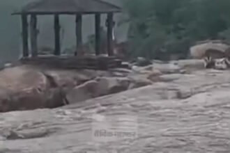 Heavy Rain Alert : कोरबा में 15 घंटे टापू पर फंसे 3 दोस्त, पुलिस ने बचाया; 2 दिन भारी बारिश का अलर्ट