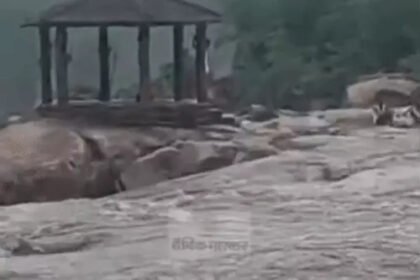 Heavy Rain Alert : कोरबा में 15 घंटे टापू पर फंसे 3 दोस्त, पुलिस ने बचाया; 2 दिन भारी बारिश का अलर्ट