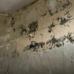 Saja Tehsil Building Condition